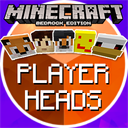 Icon for Player Heads [Experimental]
